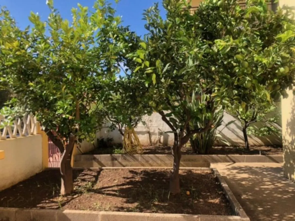 Appartamento Under The Lemon Tree La Caletta 0*,